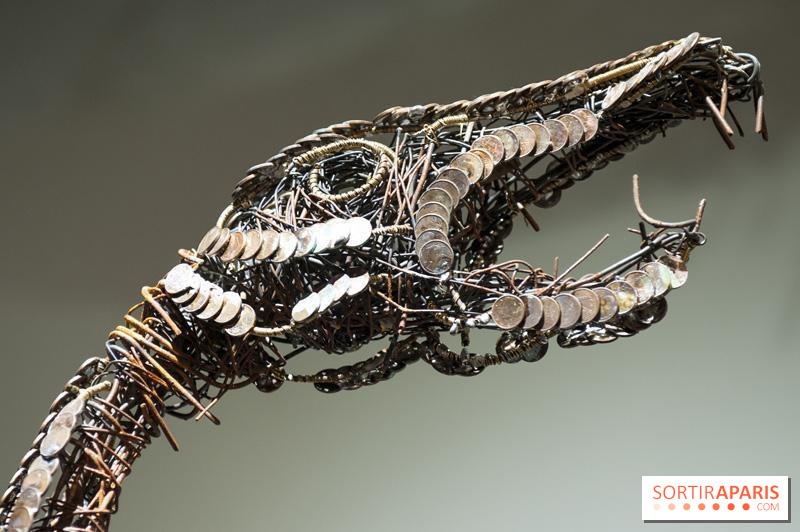 Aquarium de Paris : La Fabrique des profondeurs, l'exposition de Lionel Sabatté