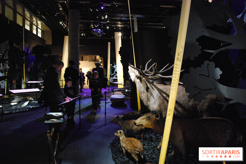 Exposition Nuit au Muséum Natinaol d'Histoire Naturelle