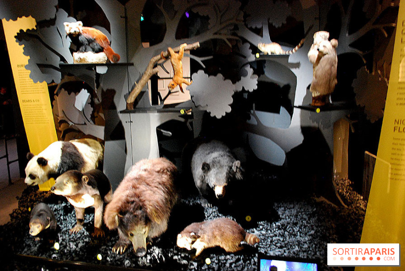 Exposition Nuit au Muséum Natinaol d'Histoire Naturelle