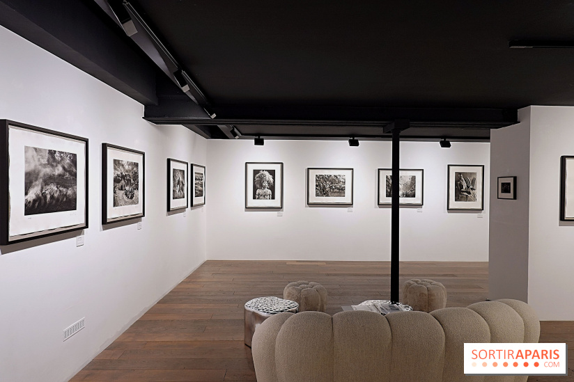 Sebastião Salgado présente son exposition "Genesis Platinum" à la Galerie Polka