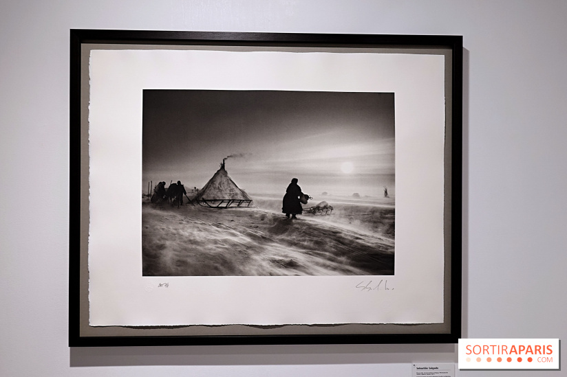 Sebastião Salgado présente son exposition "Genesis Platinum" à la Galerie Polka
