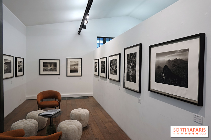Sebastião Salgado présente son exposition "Genesis Platinum" à la Galerie Polka