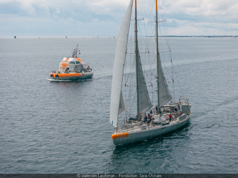 La goélette Tara amarrée à Paris : visites à bord et exposition à quai pour une plongée en Arctique