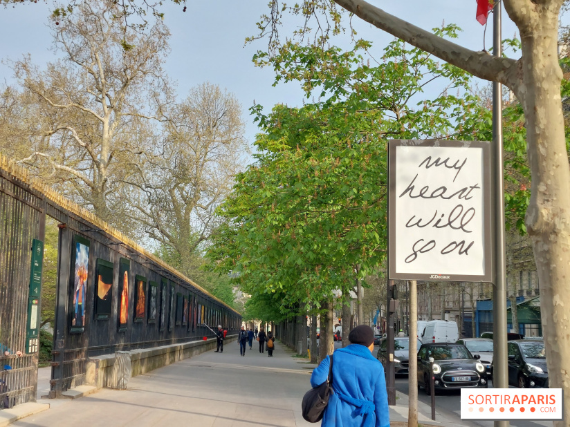 Céline Dion : la star québécoise prochainement en concert à Paris La Défense Arena ?