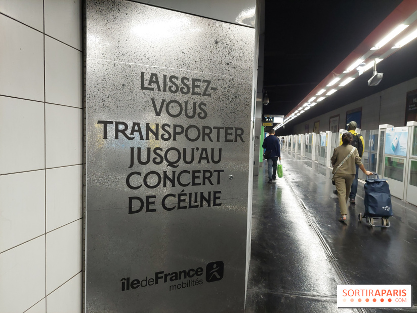 Concerts de Céline Dion à Paris : des perturbations annoncées sur les RER A et E en soirée