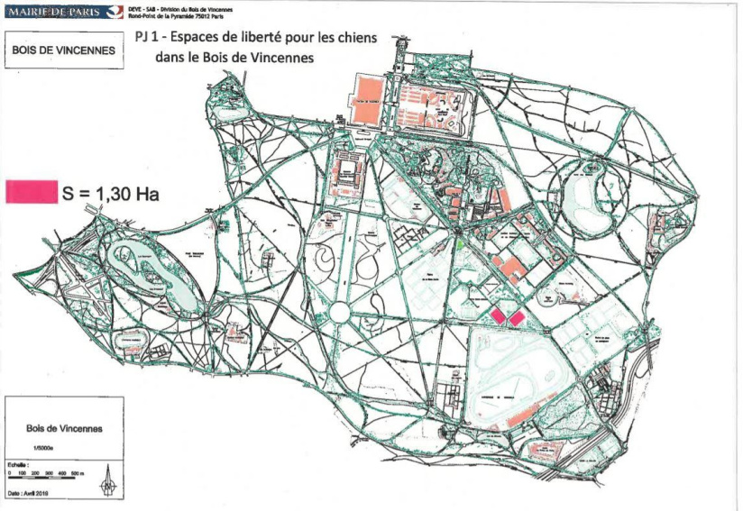 Les parcs, squares et jardins où promener son chien à Paris, avec ou sans laisse 
