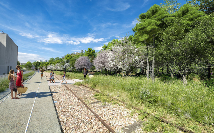 Paris : une forêt urbaine bientôt plantée sur une ancienne friche du 20e