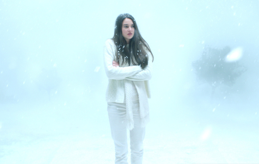 white bird