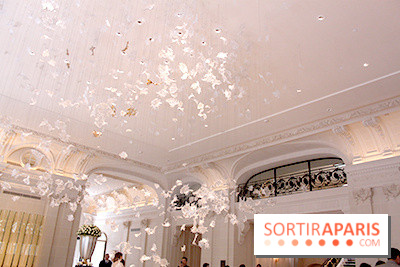 Peninsula : œuvre d'art