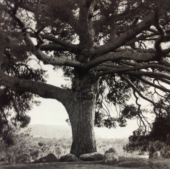 Patrice Calmettes à la MEP