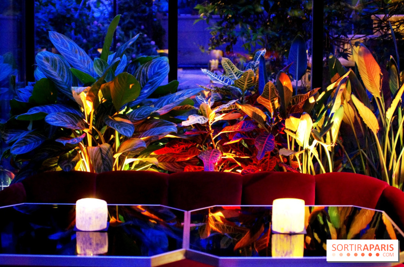 Le Très Particulier - la verrière