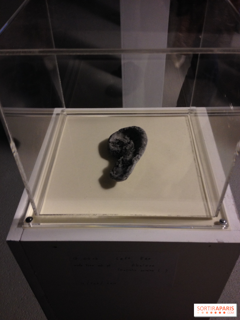 Archipel Secret au Palais de Tokyo