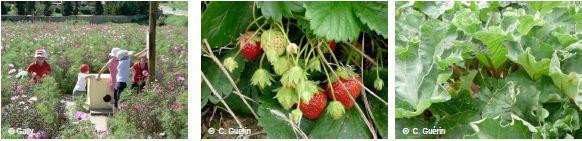 1ère édition de "Paroles de jardiniers" en Yvelines