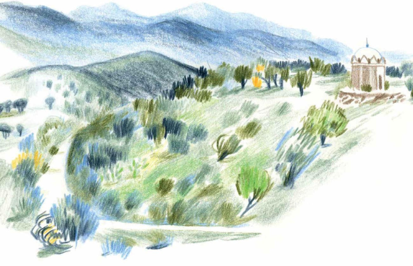 Dessine-moi une Méditerranée au Medi Terra Nea