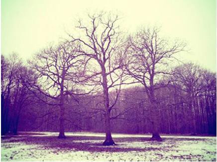 La(b) Galerie Artyfact présente l'exposition Nature(s)