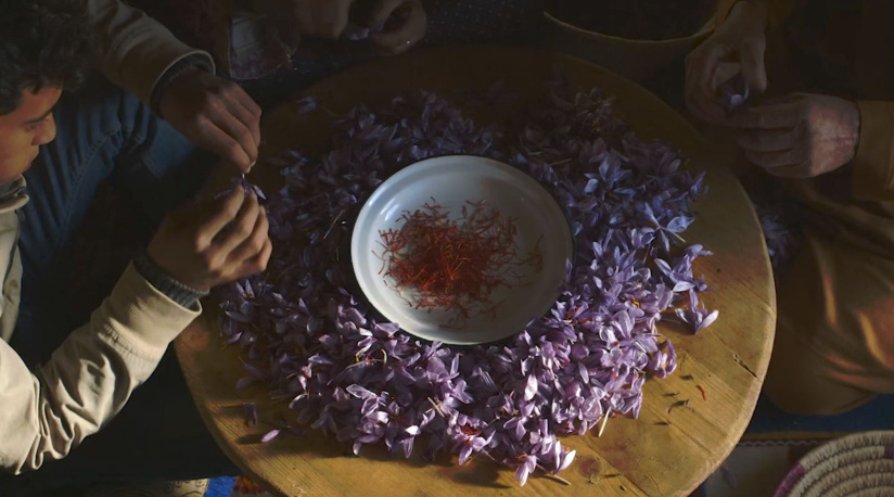 L'Odorat : un documentaire inédit de Kim Nguyen