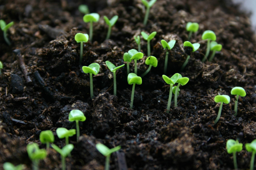 Green Troc party à la REcyclerie
