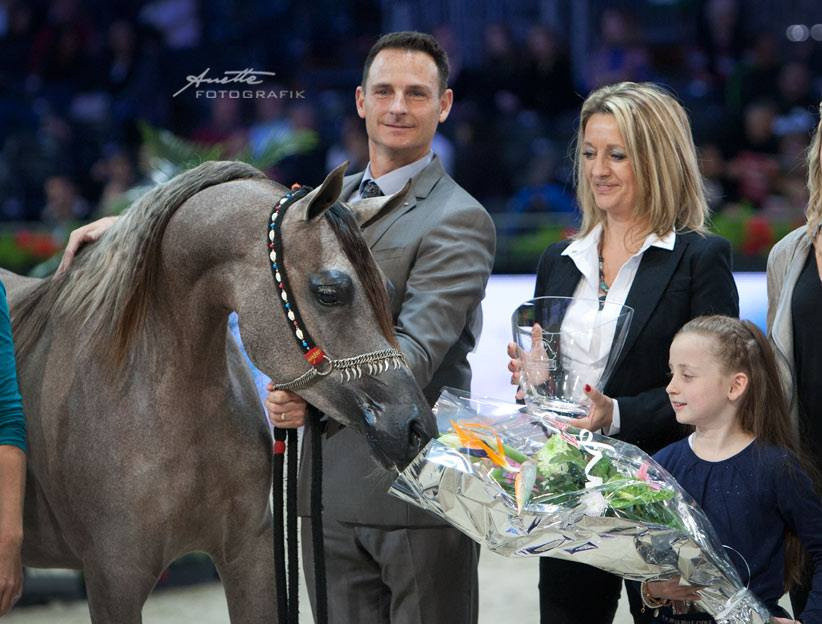 La 45ème édition du Salon du Cheval à Villepinte !