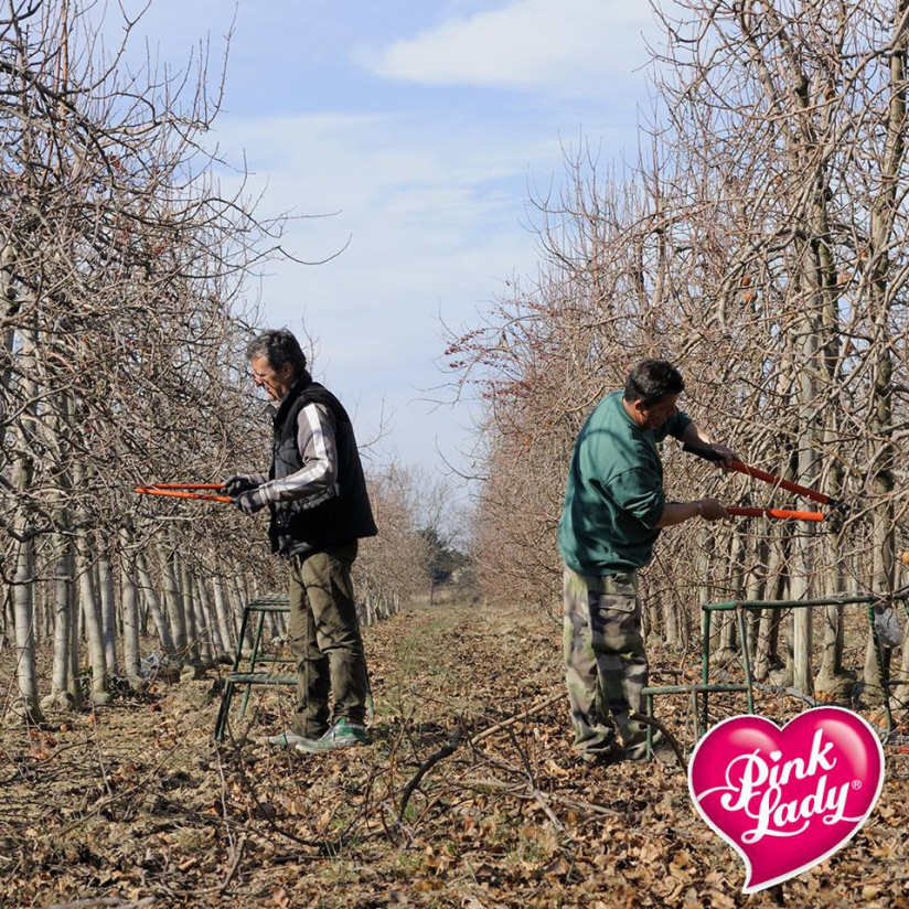 Pink Lady® au Salon de l'Agriculture : Gagnez vos places !