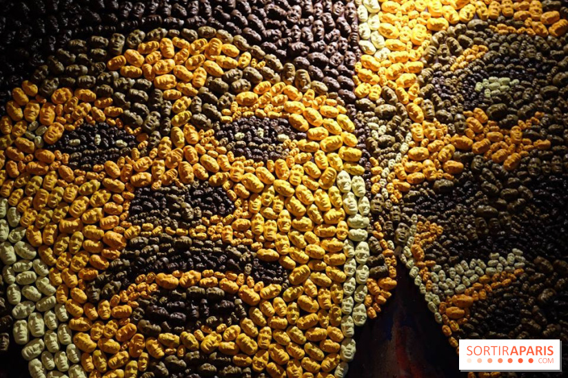 LSD : Les Souris Dansent