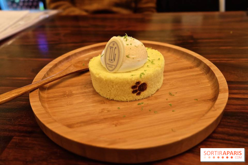 LSD : Les Souris Dansent