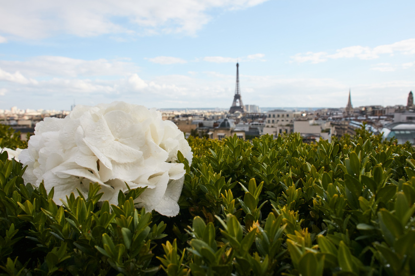 La demande en mariage qui ne ressemble à aucune autre