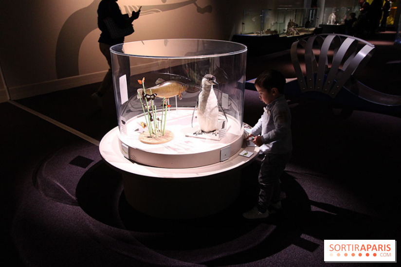 Exposition BéBés animaux à la Cité des Sciences, les photos