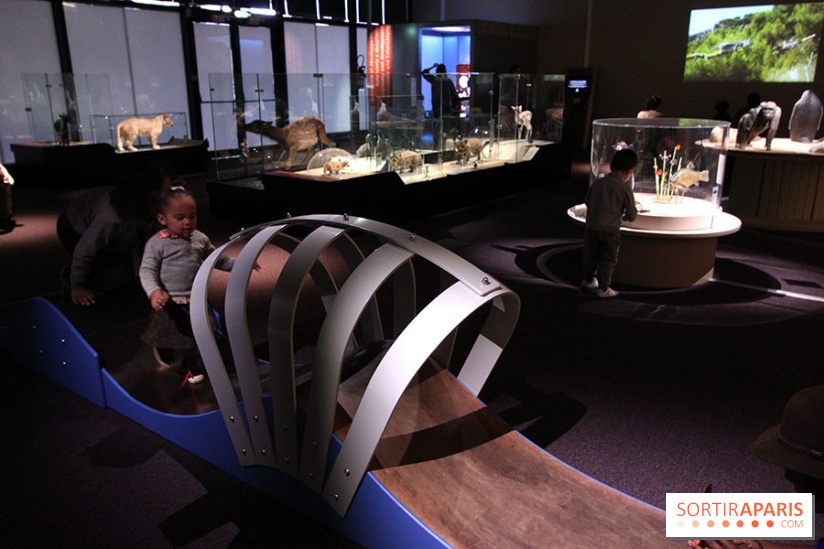 Exposition BéBés animaux à la Cité des Sciences, les photos