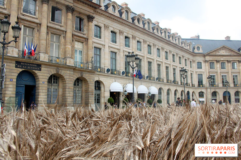 Gad Weil installe son Champ de Blés Place Vendôme