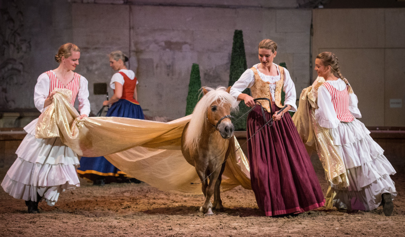 PEAU D'ÂNE, le Spectacle de Noël aux Grandes Ecuries du Domaine de Chantilly