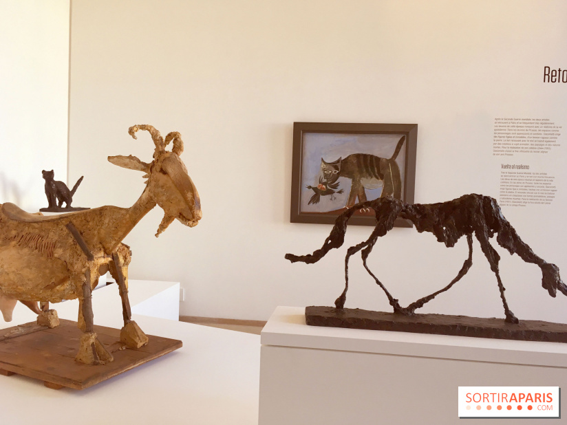 Picasso-Giacometto au Musée Picasso