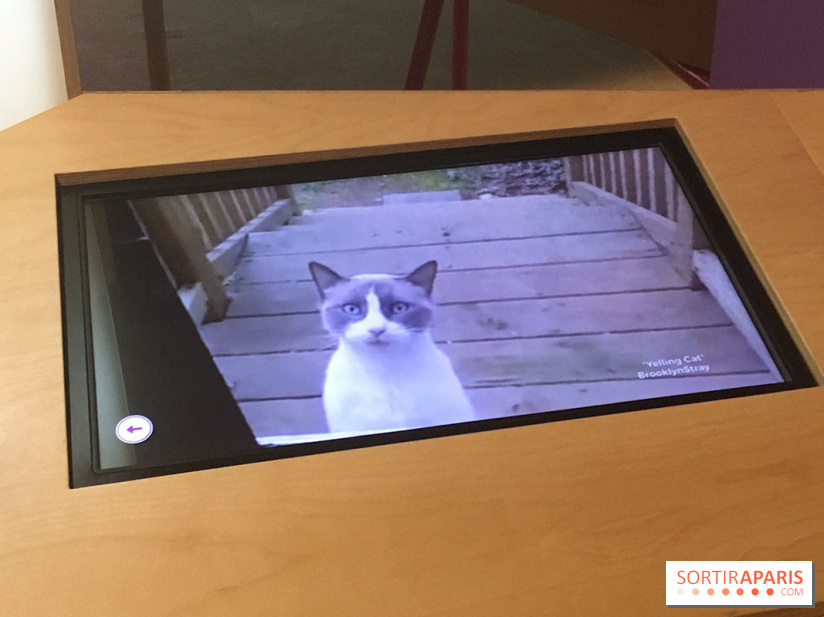 Viral, l'expo au Palais de la Découverte