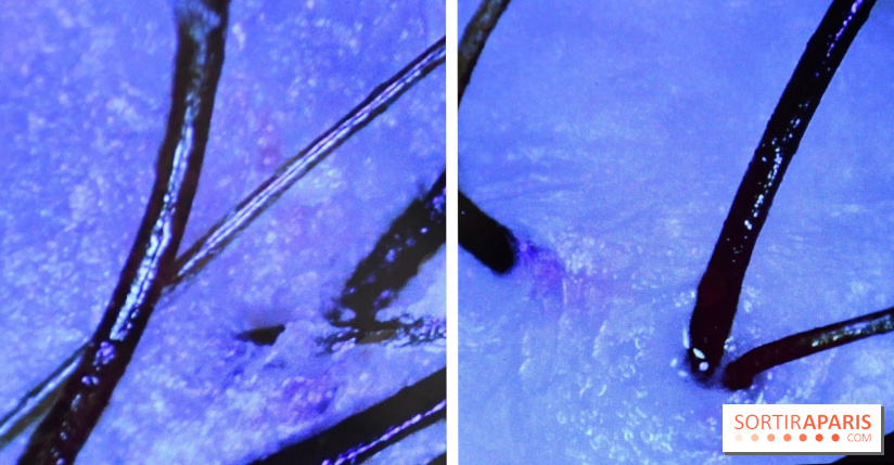 Le Head-Spa japonais by Pop my curls - Avant/Après