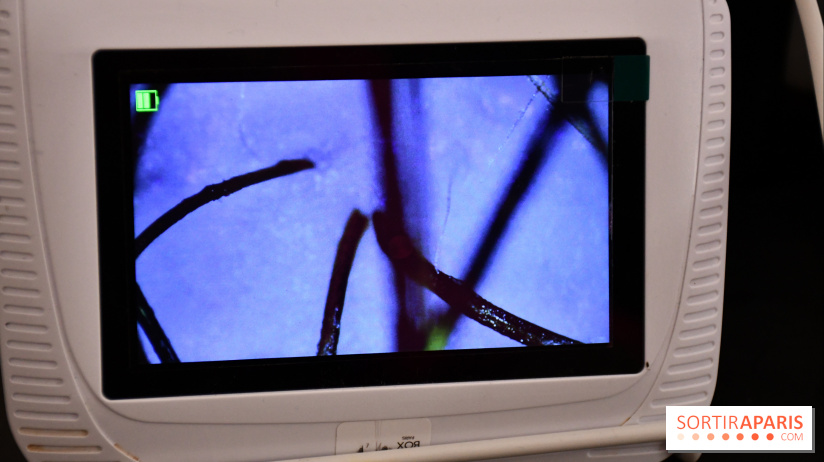 Le Head-Spa by Pop my curls, un head-spa japonais adapté aux cheveux bouclés et locks près de Paris