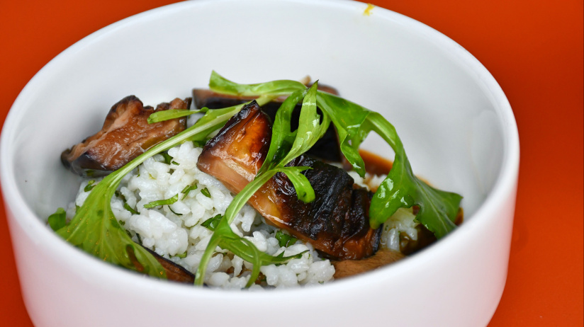 Plat/form, terrasse culturelle & festive en bord de Seine de retour ce printemps été 