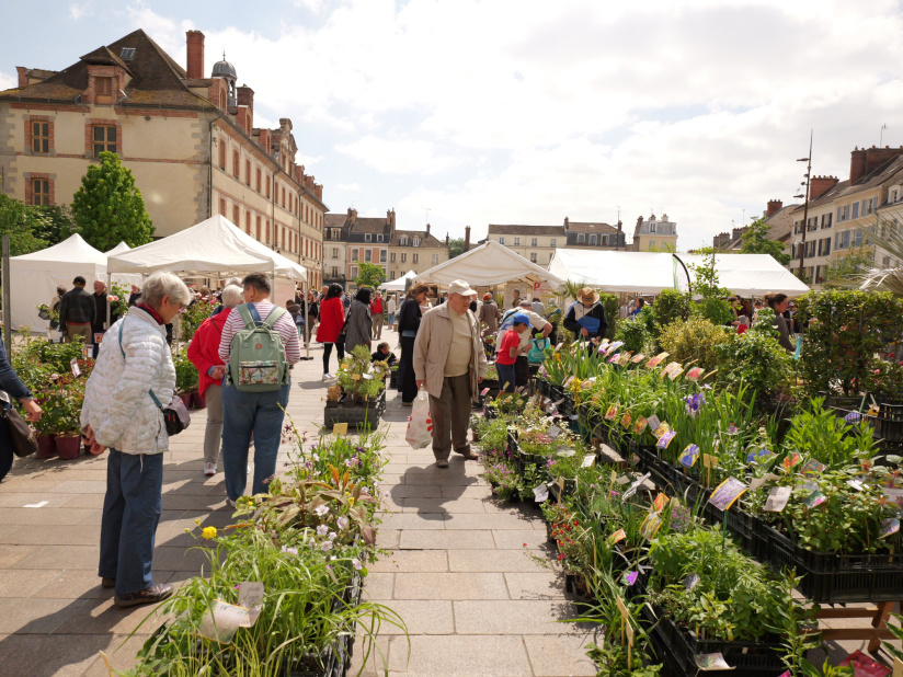 Julien Gondard, maire de Fontainebleau (77) : " C'est une ville très famille "