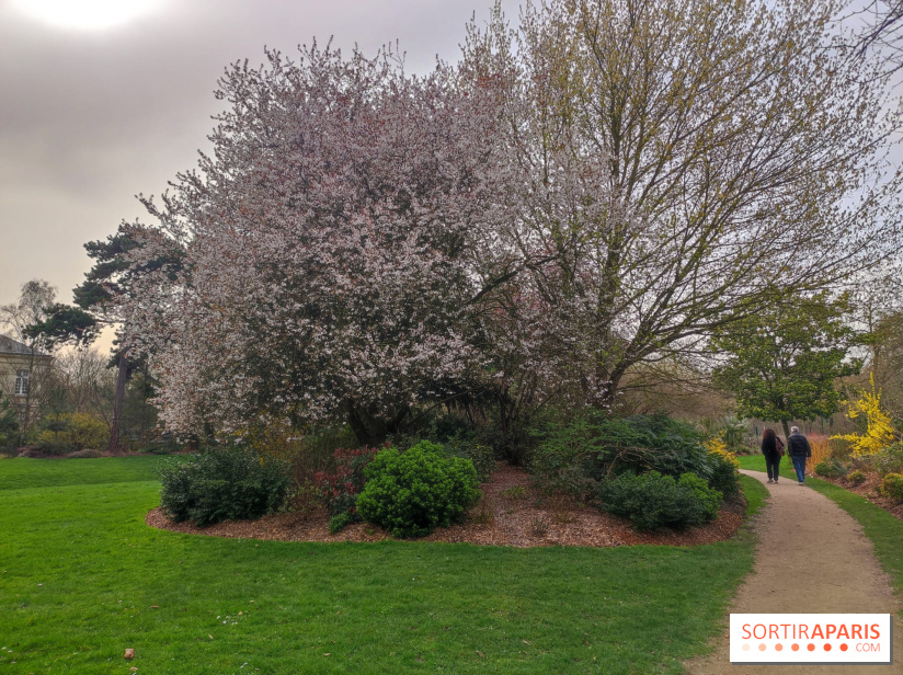 Connaissez-vous ce jardin primé, caché derrière le Château de Vincennes ? 