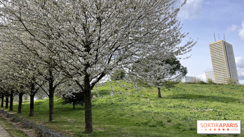 Du Tai Chi au Parc des Guilands (93) pour les Rendez-Vous aux Jardins 2026