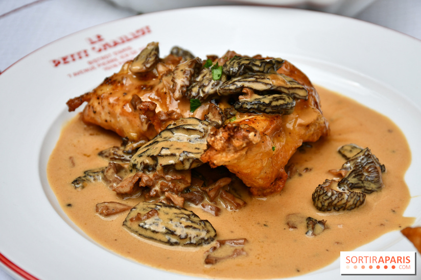 Le Petit Chaillot : un bistrot typique et gourmand à deux pas du musée de L’homme et du palais Galliera