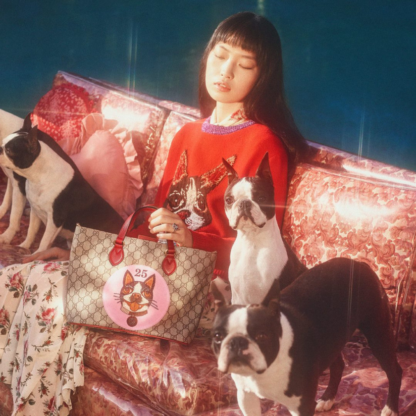 Gucci dévoile une collection exclusive pour célébrer l'année du chien