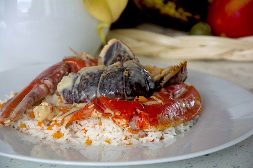 Le traiteur Festins dévoile son menu pour les fêtes de fin d'année