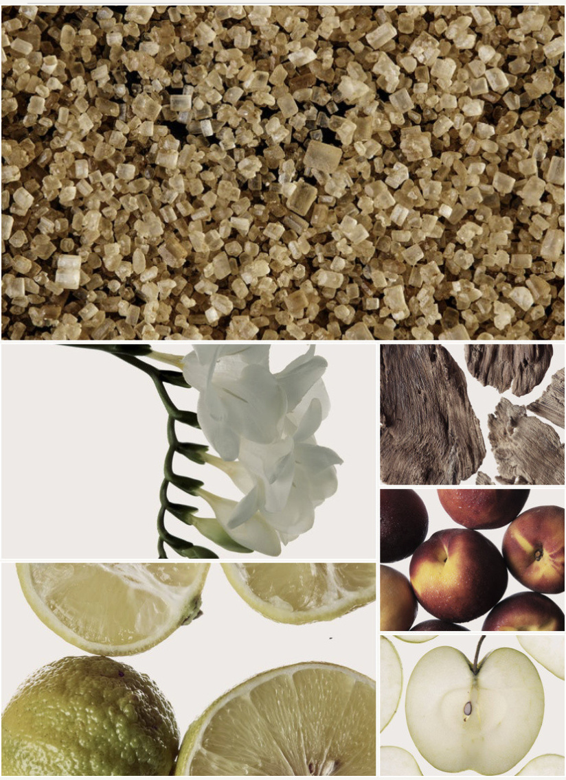 Alchemist Atelier : créez vos parfums sur-mesure à Paris