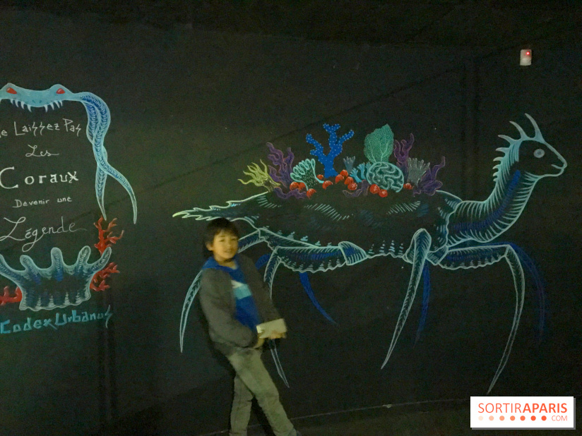 Les récifs Coraliens s'exposent à l'Aquarium de Paris