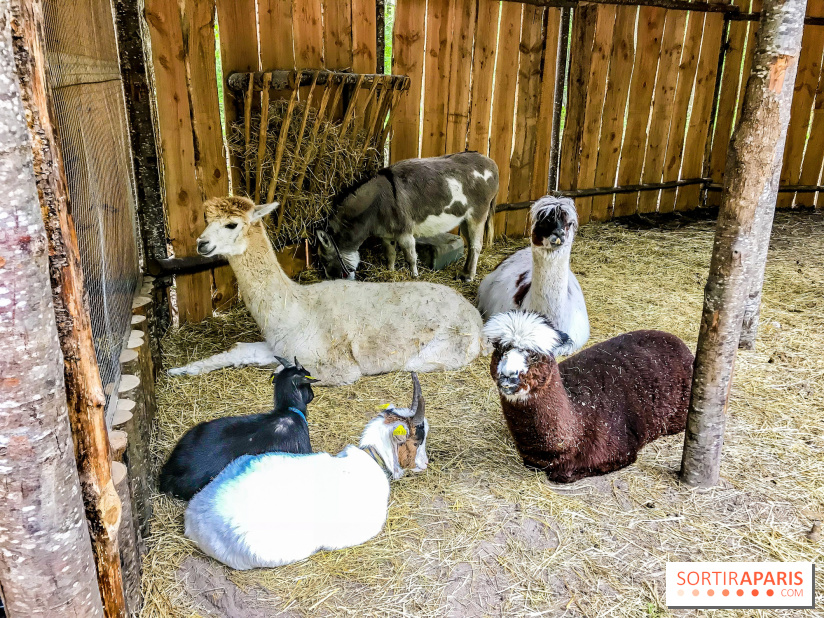 Aventure Floréval, le parcours en pleine nature