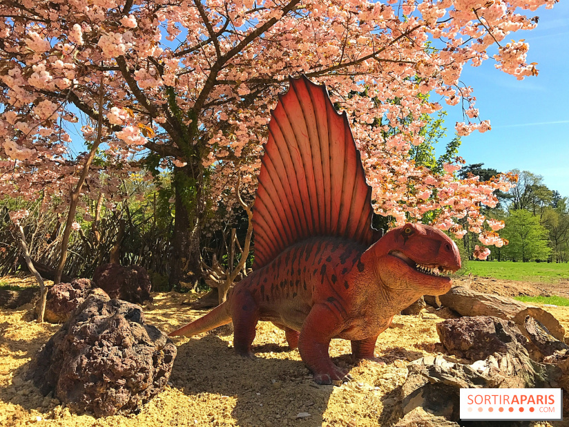 DinoZOOre II au Zoo de Thoiry, album 2