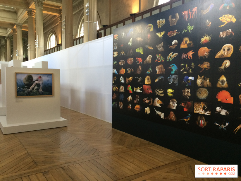 National Geographic s'expose au MNHA : nos images de l'expo
