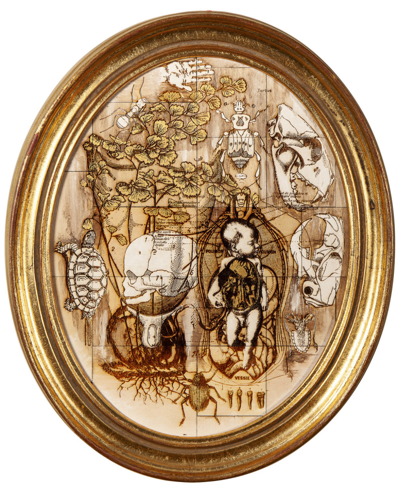 Anatonirisme : l'exposition gratuite entre art et science à la galerie La Lison