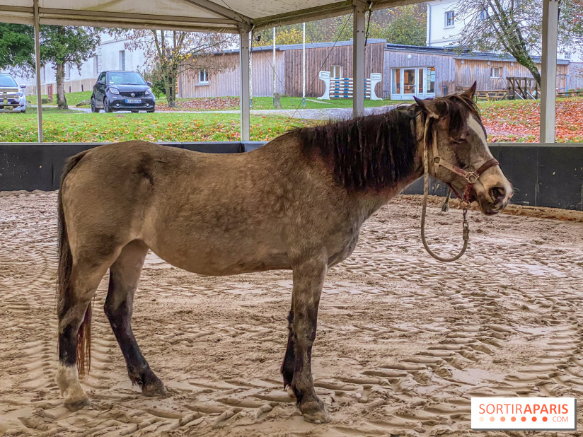Domaine de Maffliers : notre test de l'escapade champêtre et équestre by Demeures de Campagne