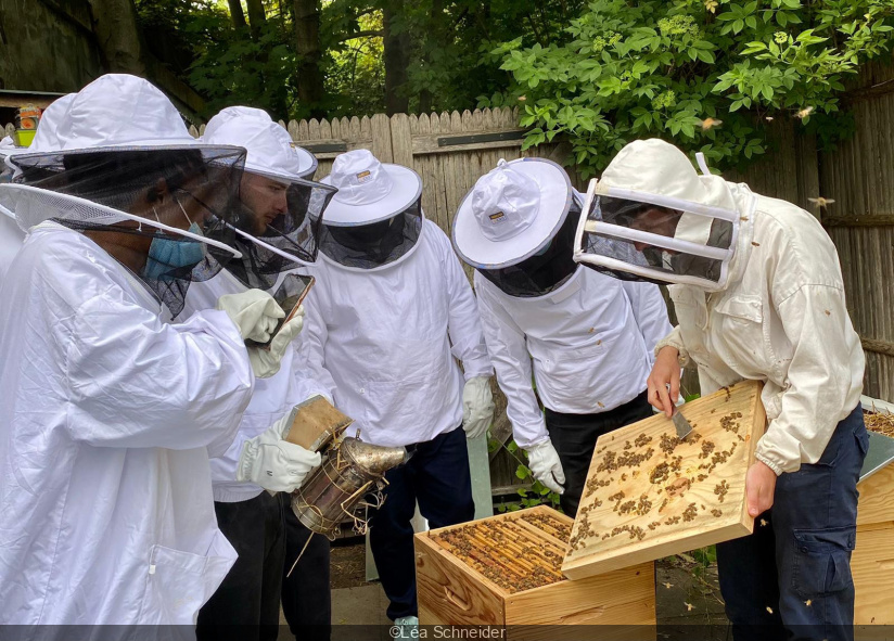 1152091-ateliers-d-initiation-a-l-apiculture-durable-aux-ruches-villette.jpg