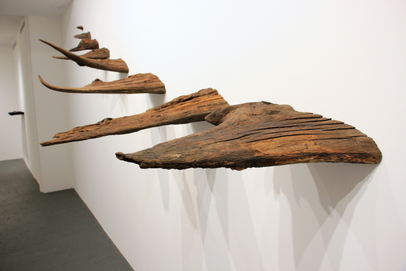 Récits de forêts : l’exposition de Lélia Demoisy au Domaine de Chamarande